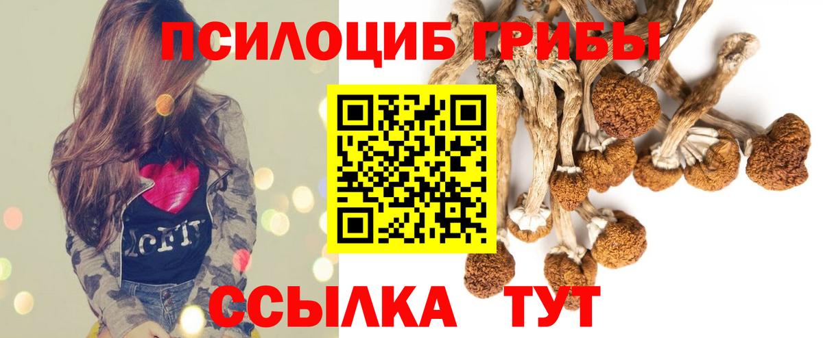 наркотики  Псилоцибиновые грибы MAGIC MUSHROOMS  Галлюциногенные грибы MAGIC MUSHROOMS  Вход с VPN  Коркино 