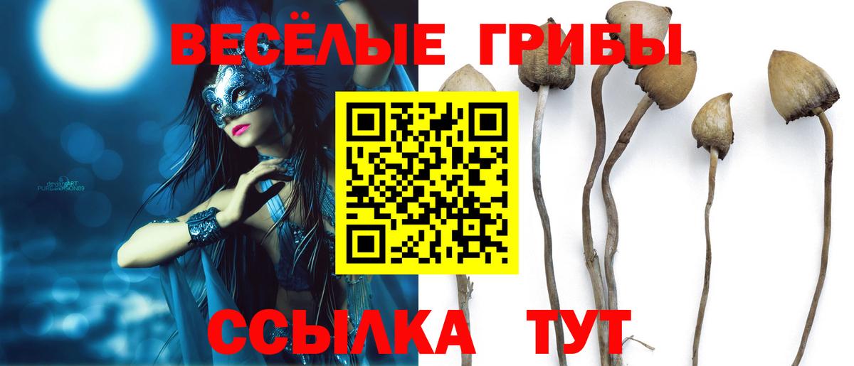 Псилоцибиновые грибы ЛСД Коркино